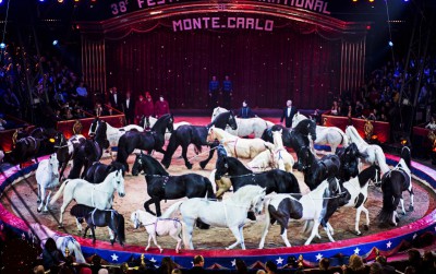 38e festival monte carlo - vinicio canastrelli togni.jpg
